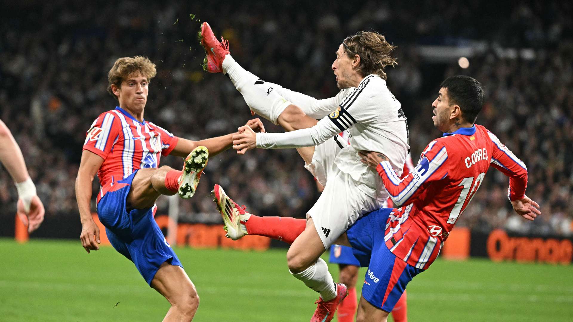 还为球队注 还为球队注