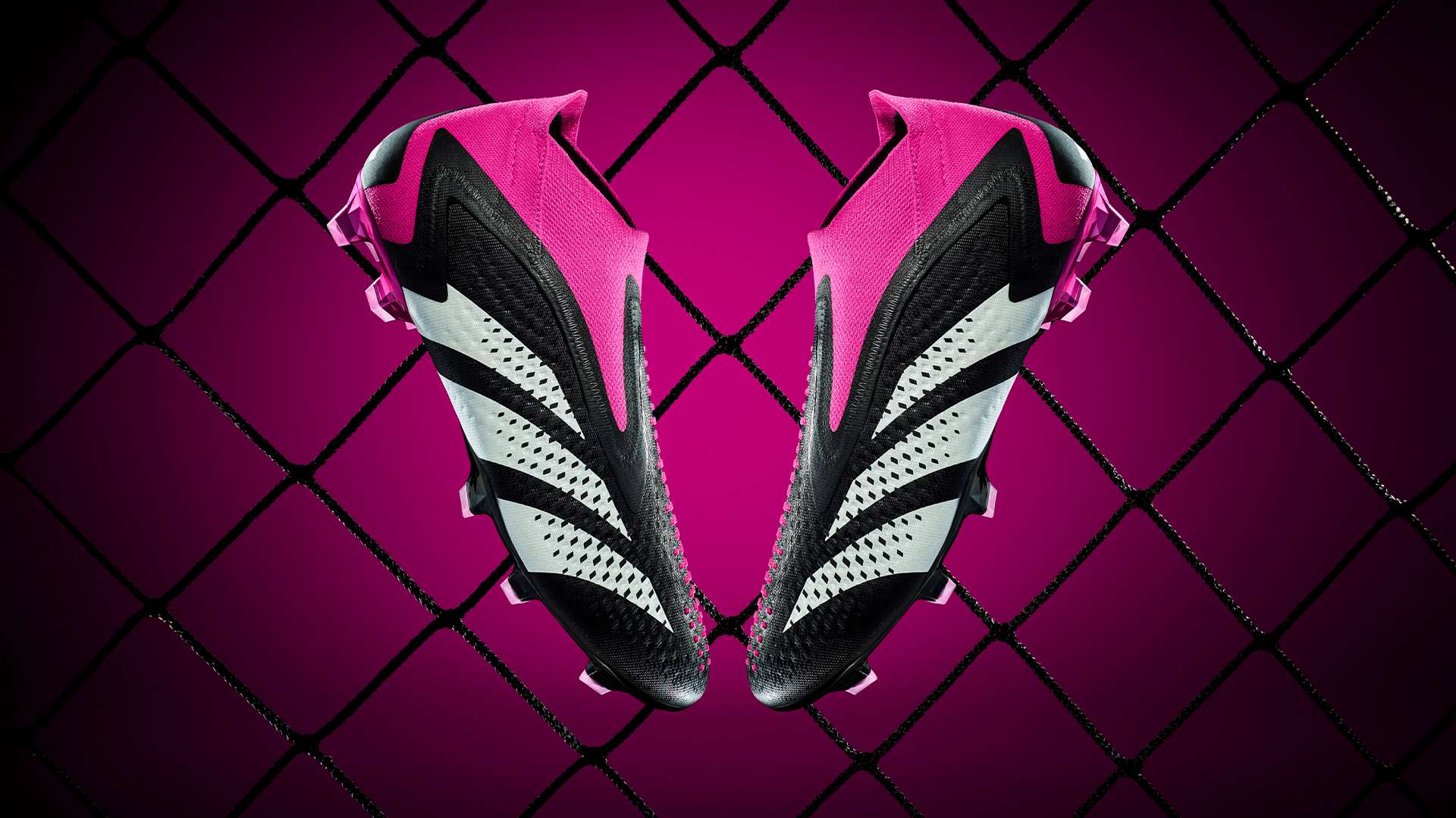 球队的期待 球队的期待