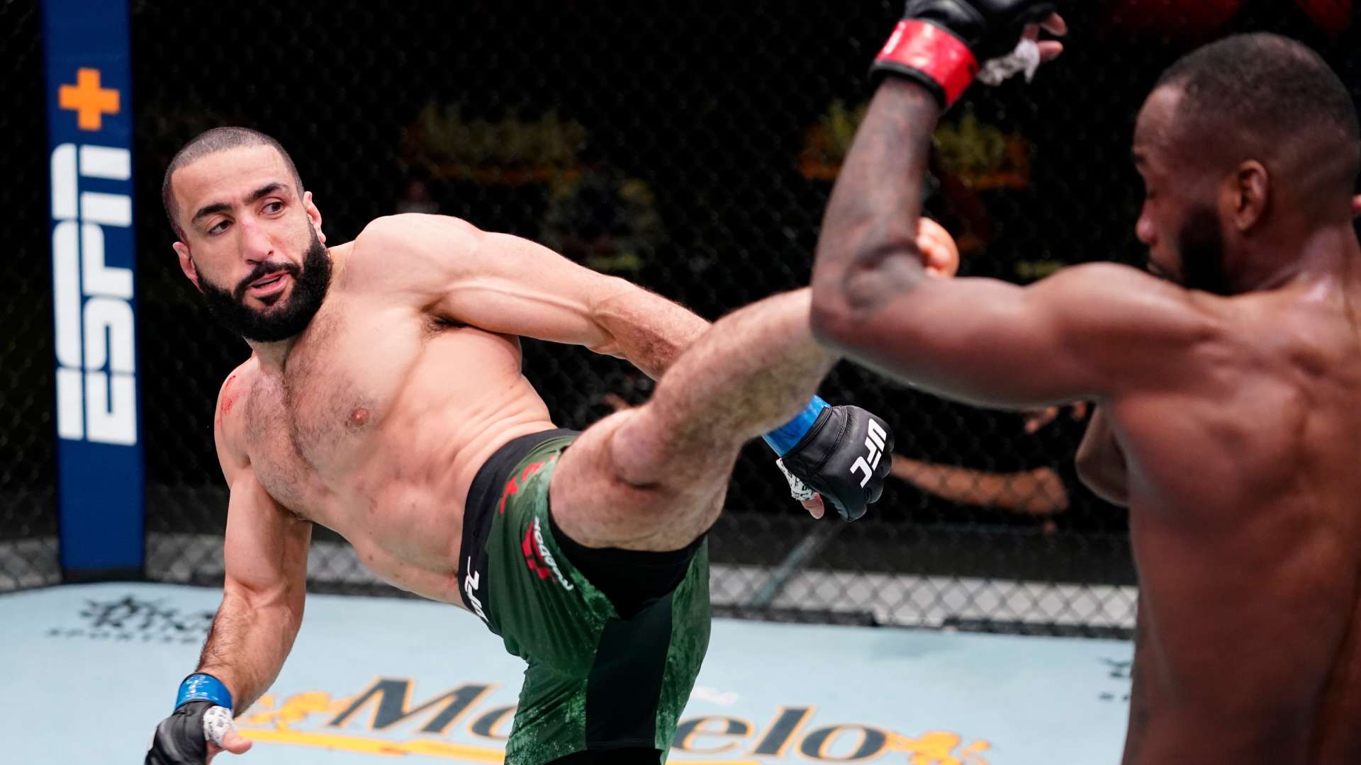 健康支持体 健康支持体