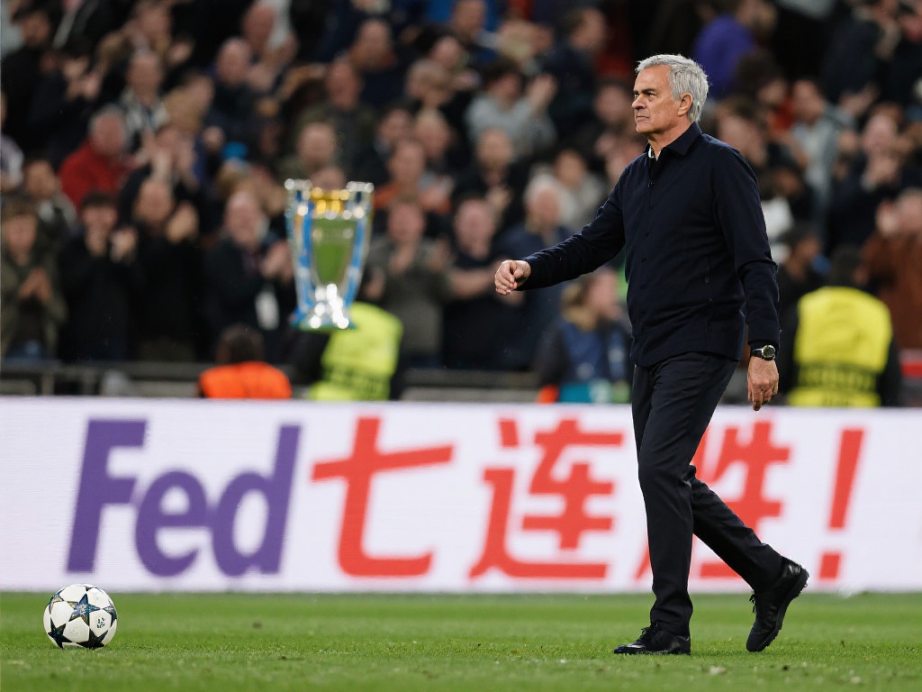 己的实力 己的实力