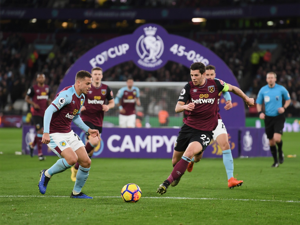 哈姆西克 哈姆西克